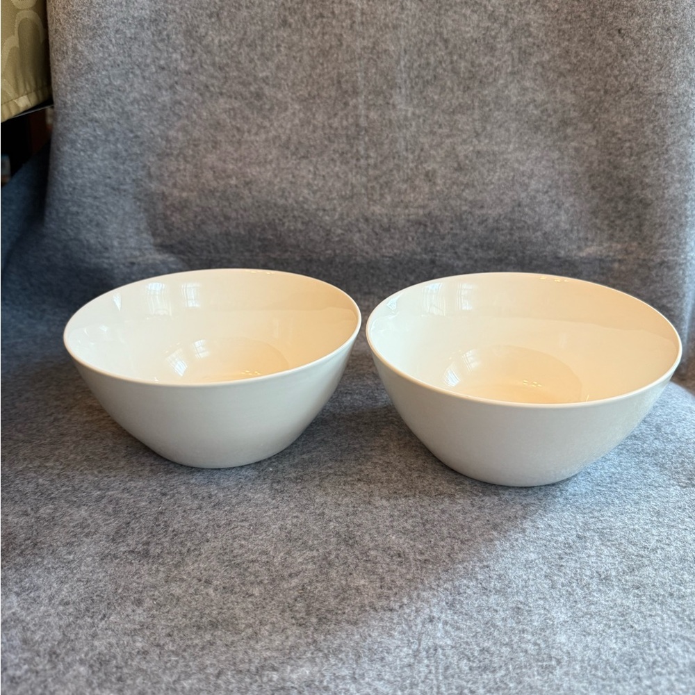 Set of 2 White Ecoware Dinnerware Bowls